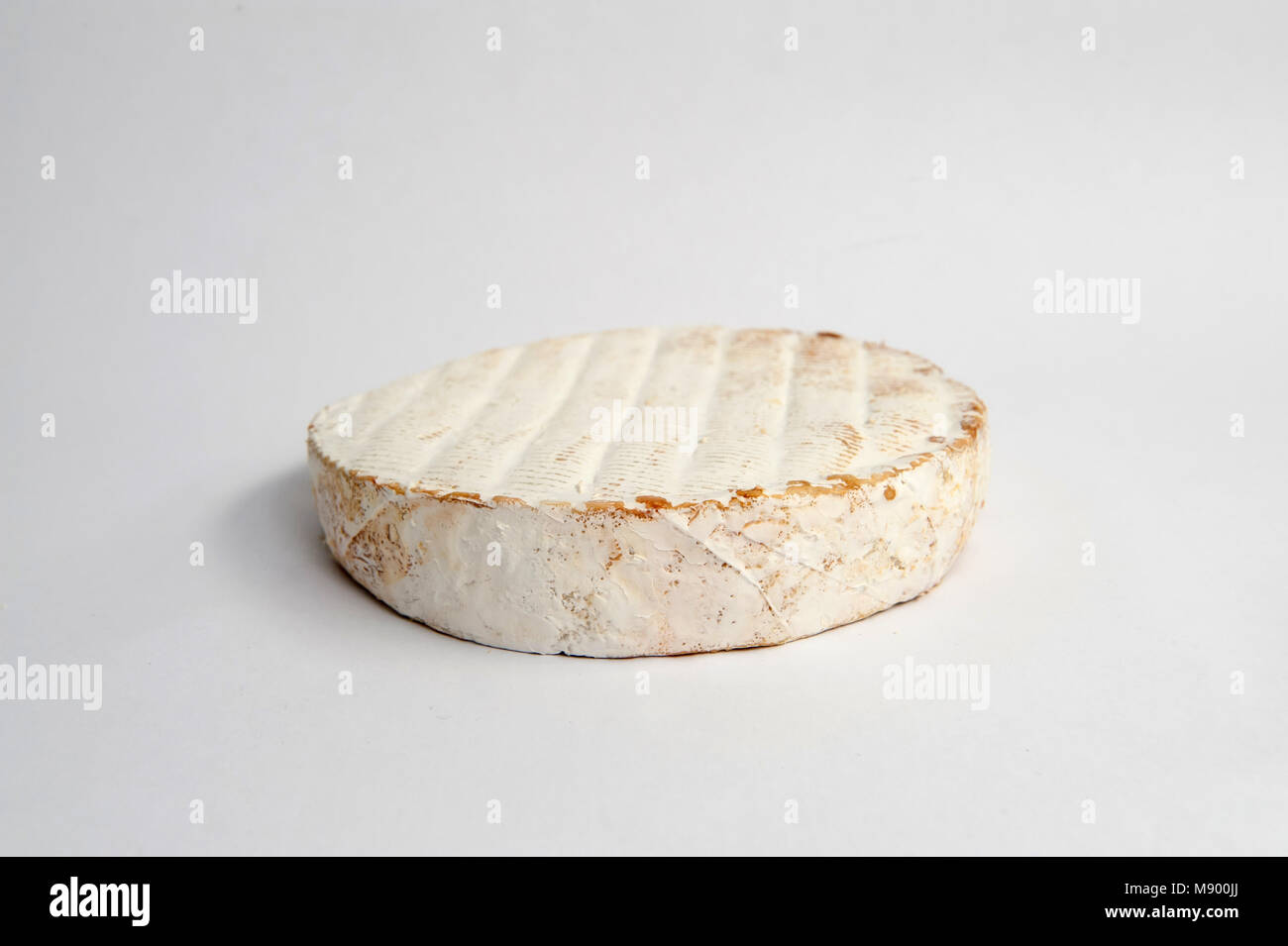 Wigmore Cheese, un fromage semi-doux de Berkshire au Royaume-Uni Banque D'Images