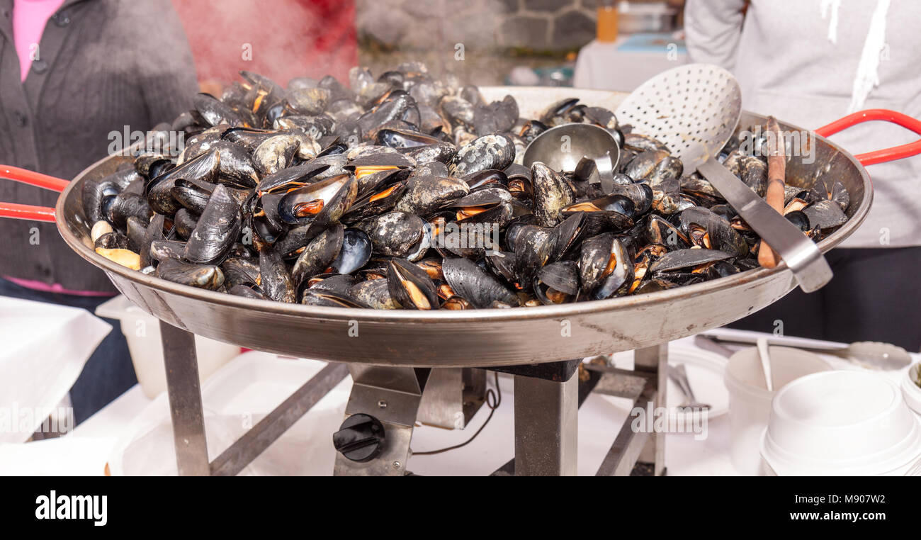 Démonstrations de cuisine. Grand plat de moules sur la cuisinière électrique. Plus de vapeur les coquilles des moules. Banque D'Images