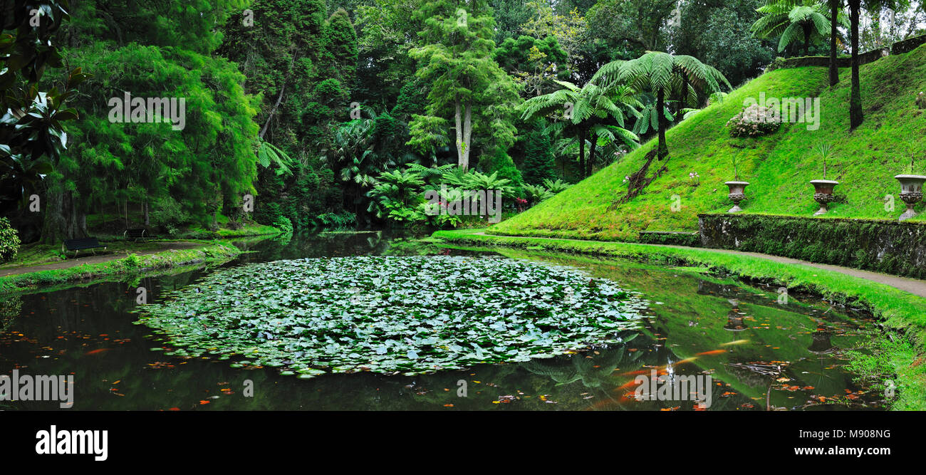 Fondée au 18e siècle, le Terra Nostra garden à Furnas est un des plus beaux et des jardins exotiques dans le monde. L'île de São Miguel, Açores Banque D'Images
