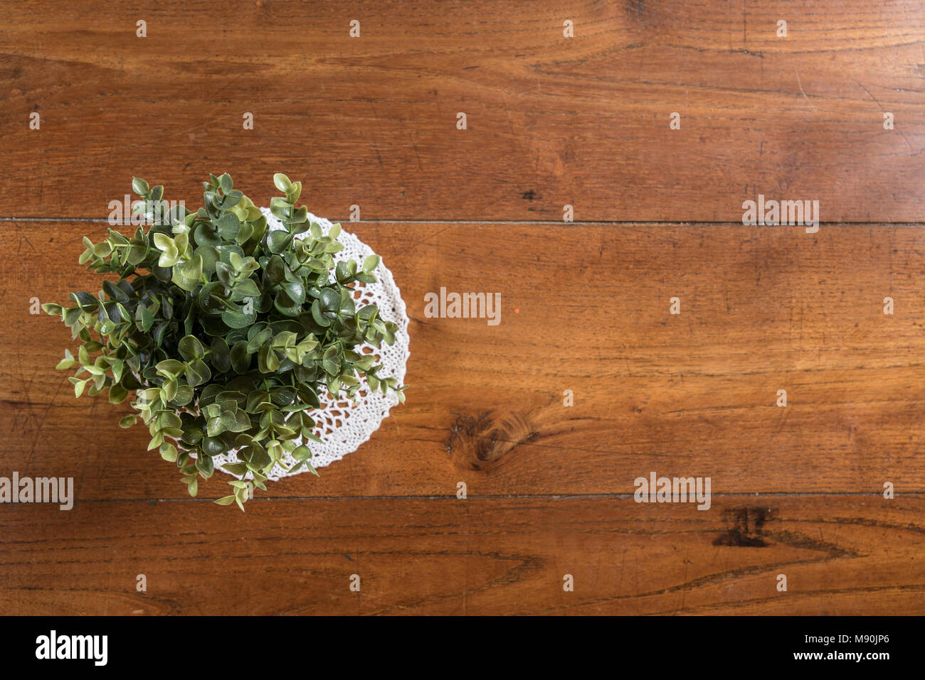 Une plante verte dans le vase sur une table en bois Banque D'Images