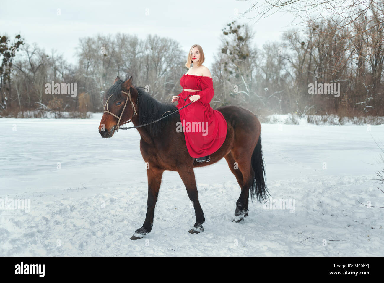 Portrait d'une jeune femme blonde à cheval dans un parc d'hiver. Banque D'Images