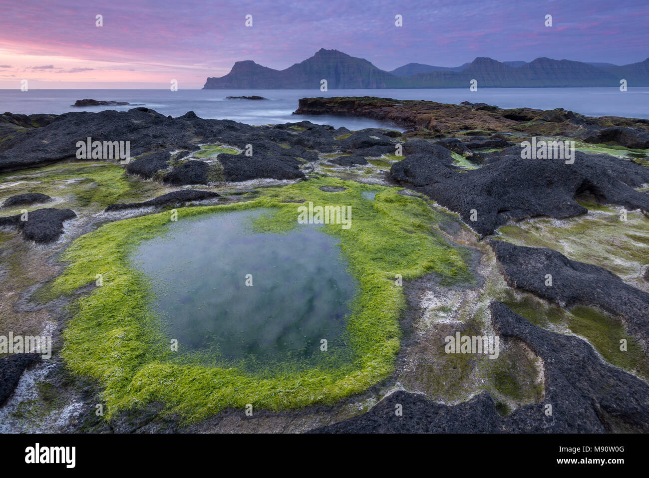 Des rochers recouverts d'algues au coucher du soleil sur la mer de basalte ledge mais confortables et disposent dans les îles Féroé, Danemark. En été (juin) 2017. Banque D'Images