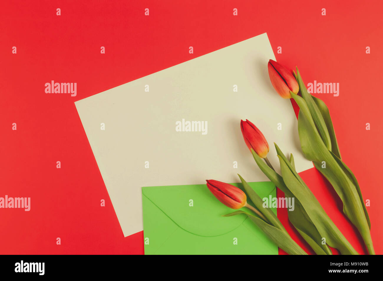 Tulipes fleurs vert et enveloppe avec carte blanche sur fond rouge. Vue d'en haut Banque D'Images