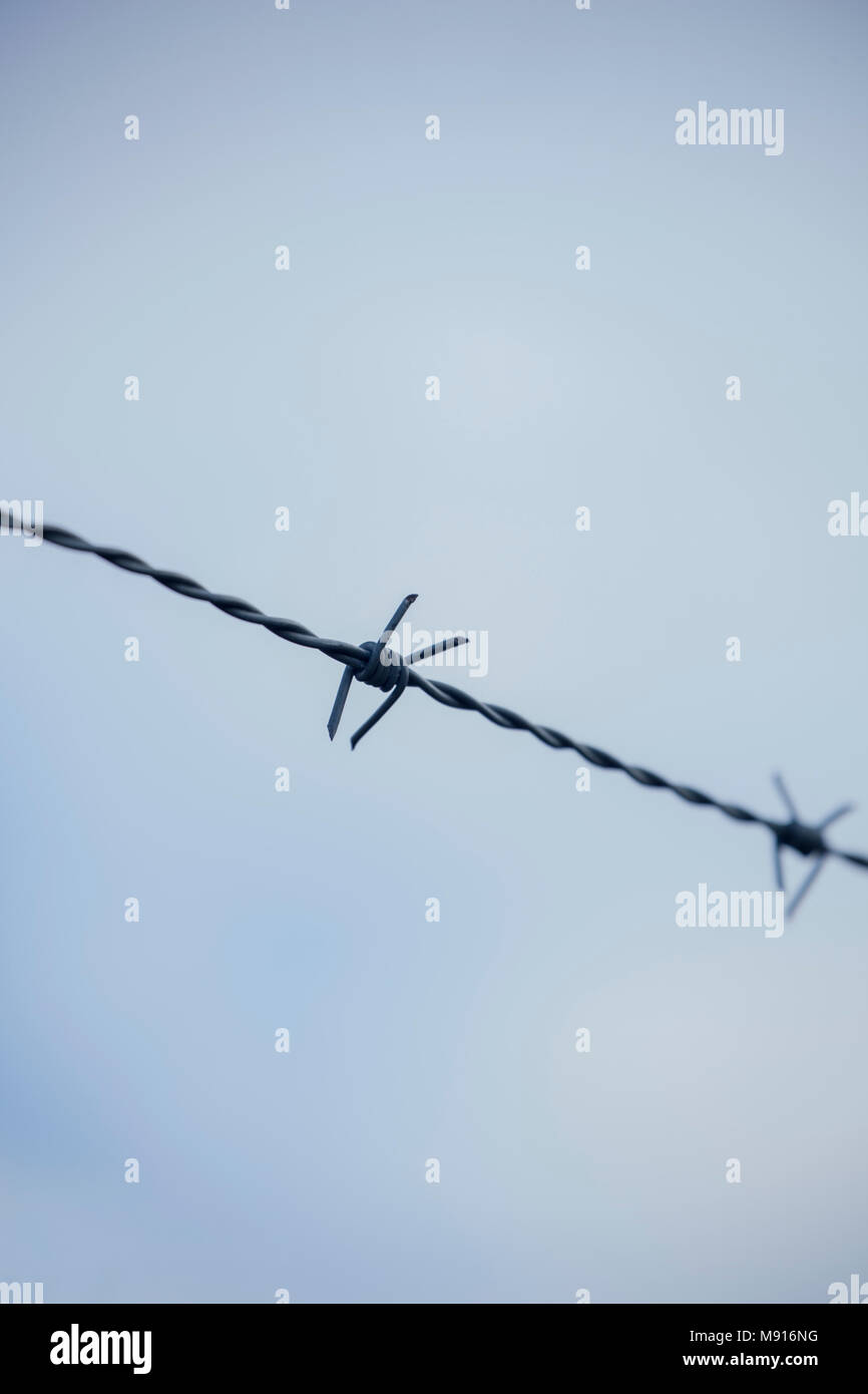 Barb Wire sur fond de ciel bleu. Banque D'Images