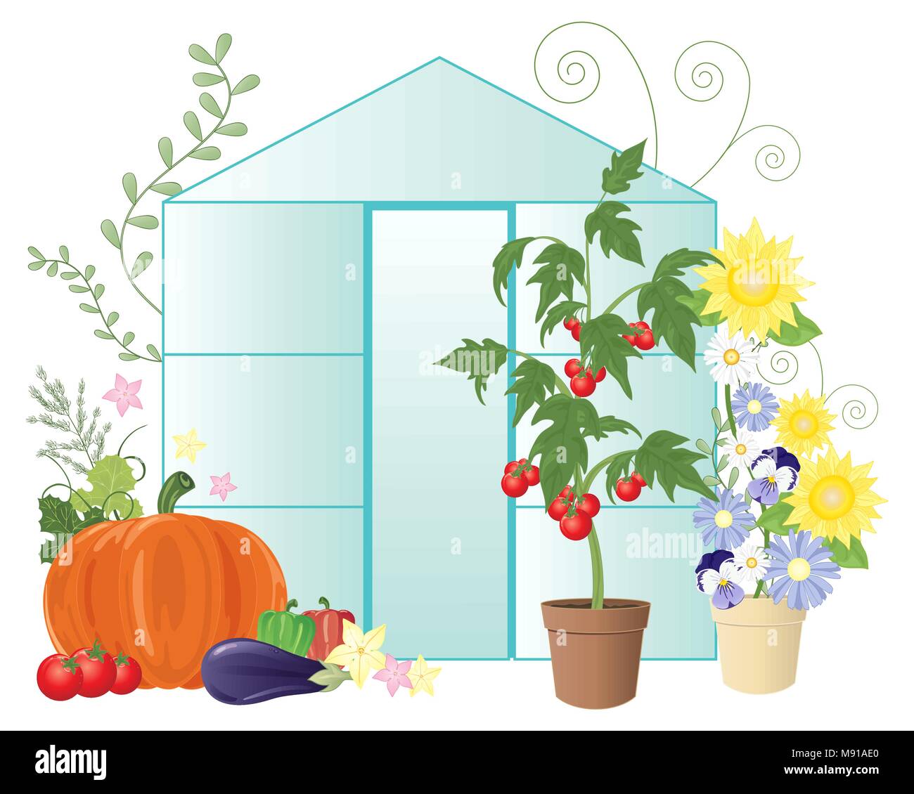 Un vecteur illustration en eps 10 format d'une serre d'été avec des fleurs et des légumes cultivés sur place y compris les tomates sur un fond blanc Illustration de Vecteur