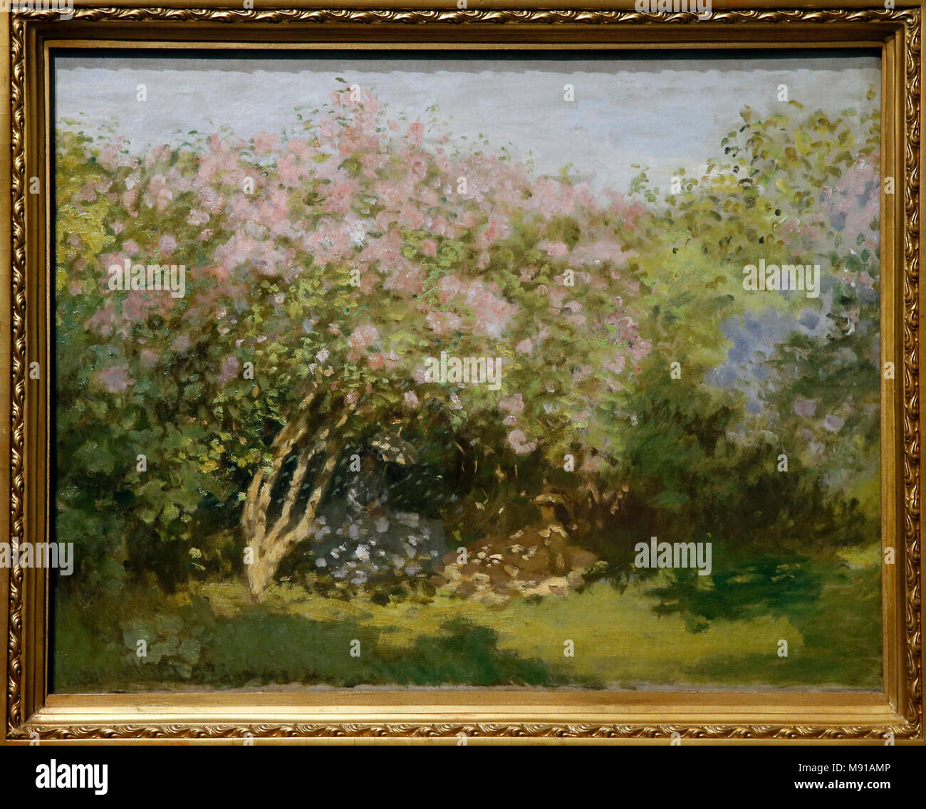 Claude Monet, lilas au soleil, (Argenteuil), 1872-1873, huile sur toile. Collection Chtchoukine, Musée des Beaux-Arts Pouchkine, Moscou. Une balle pendant qu'exposées dans Banque D'Images