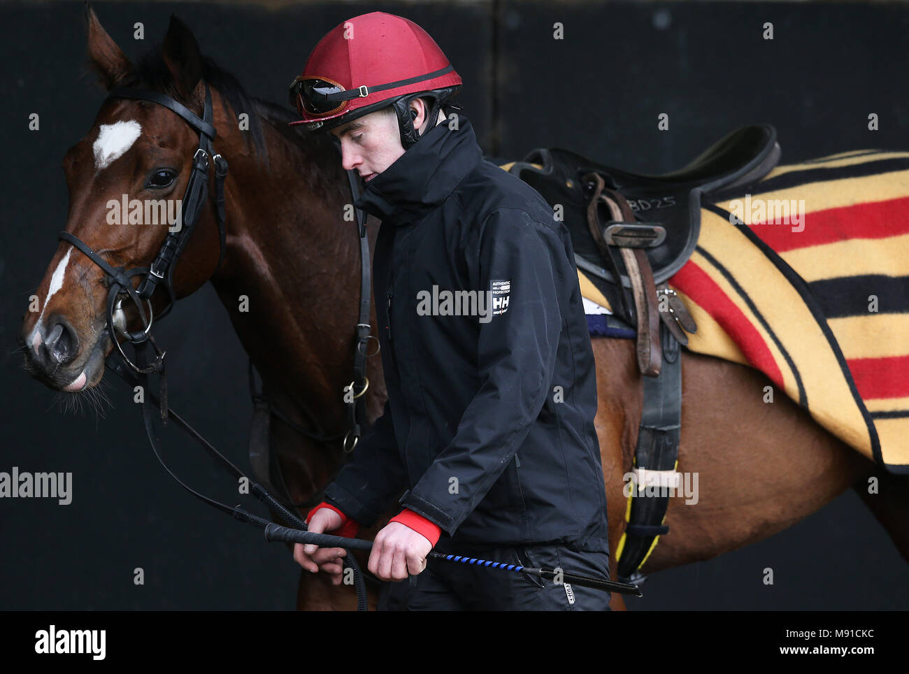 Aidan O'Brien formé Gustav Klimt à Ballydoyle écuries de course, comté de Tipperary, lors du lancement de saison 2018 télévision irlandaise. ASSOCIATION DE PRESSE Photo. Photo date : mercredi 21 mars, 2018. Crédit photo doit se lire : Brian Lawless/PA Wire Banque D'Images