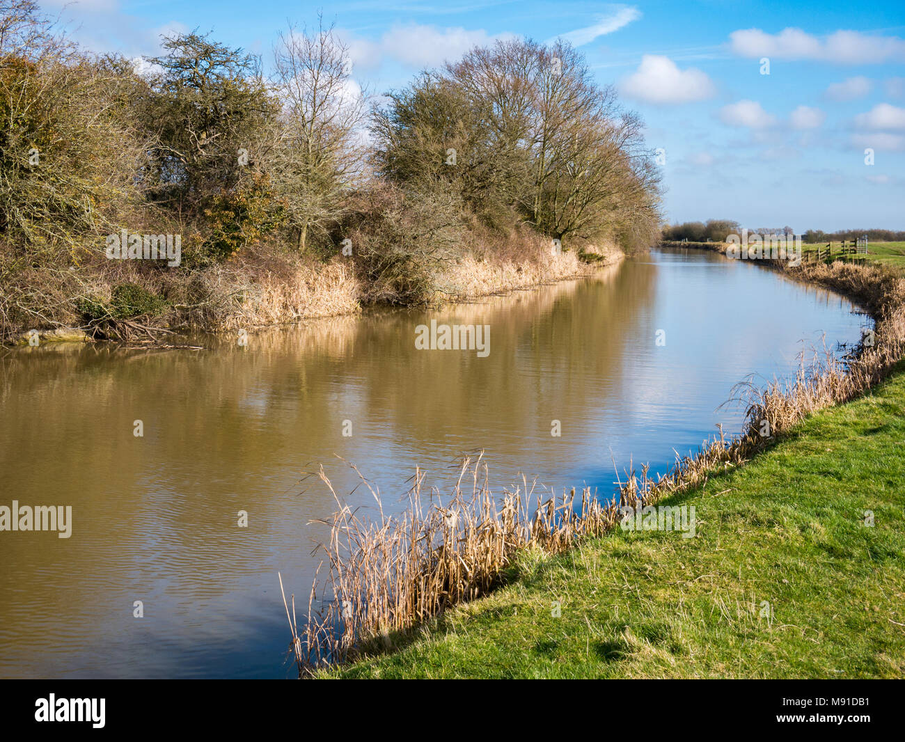 Le Canal Militaire Royal, Appledore, Kent, UK Banque D'Images