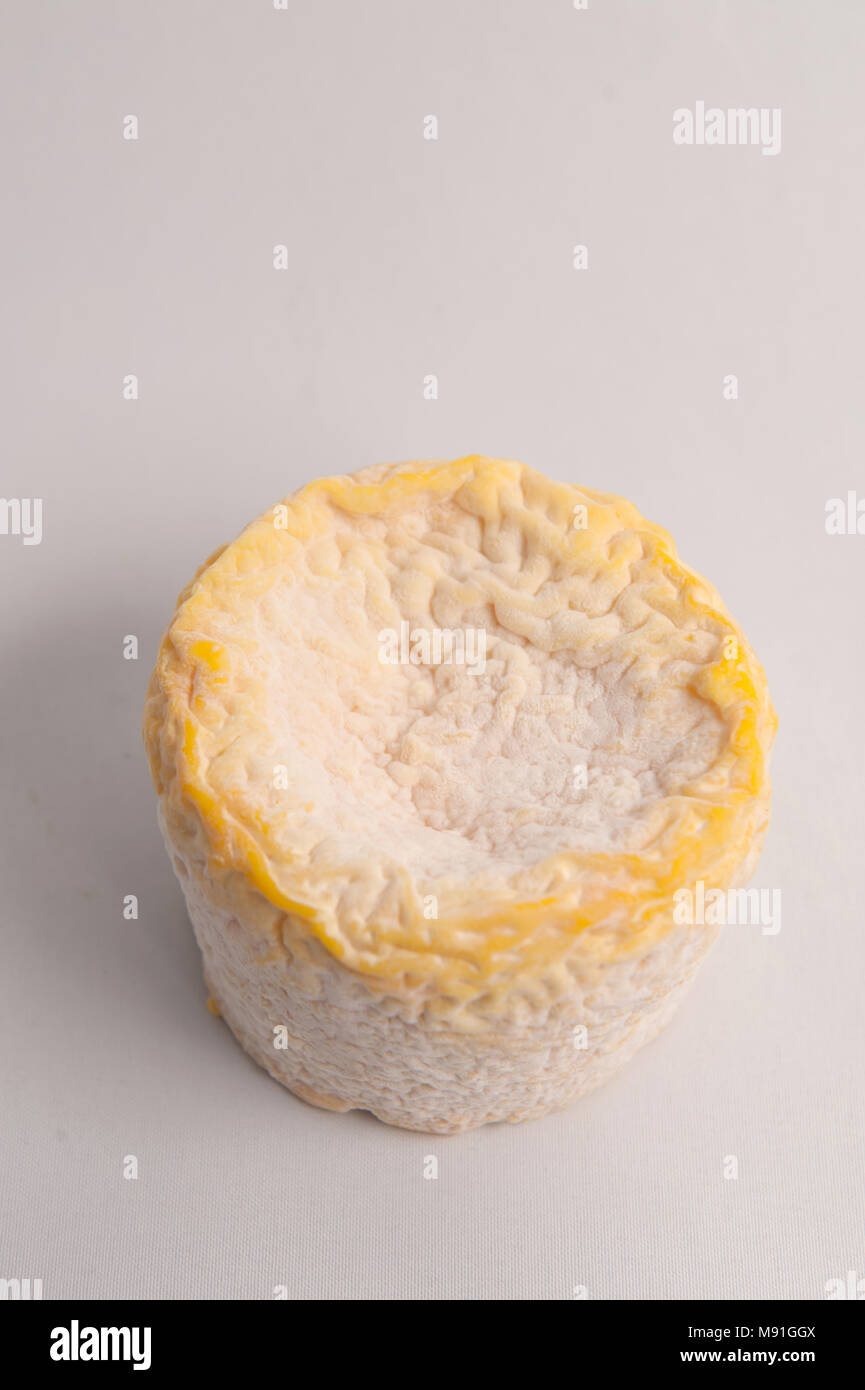 Le Langres est un fromage français semi soft à partir de la région de Langres Banque D'Images