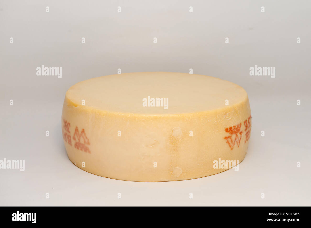Vasterbottensost est un fromage à pâte dure de Burtrask en Suède Scandinavie Banque D'Images