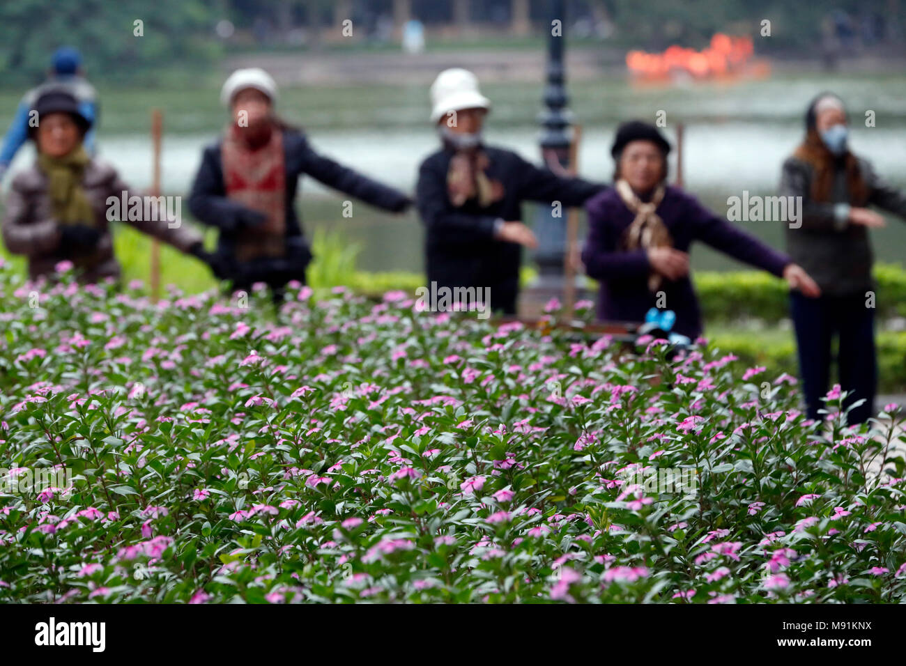 Les femmes n'Tai Chi le matin sur les rives du lac Hoan Kiem Hanoi. Le Vietnam. Banque D'Images