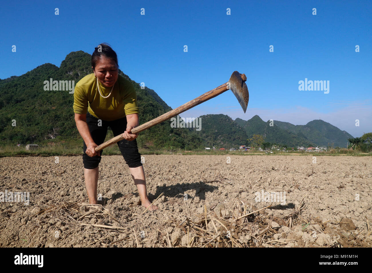 La vie rurale. Vietnamienne à creuser le sol avec hoe en champ. Fils du bac. Le Vietnam. Banque D'Images