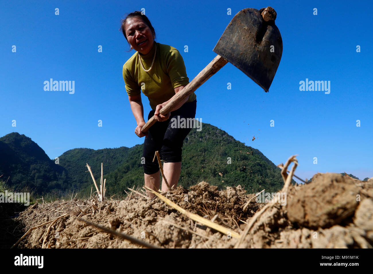 La vie rurale. Vietnamienne à creuser le sol avec hoe en champ. Fils du bac. Le Vietnam. Banque D'Images