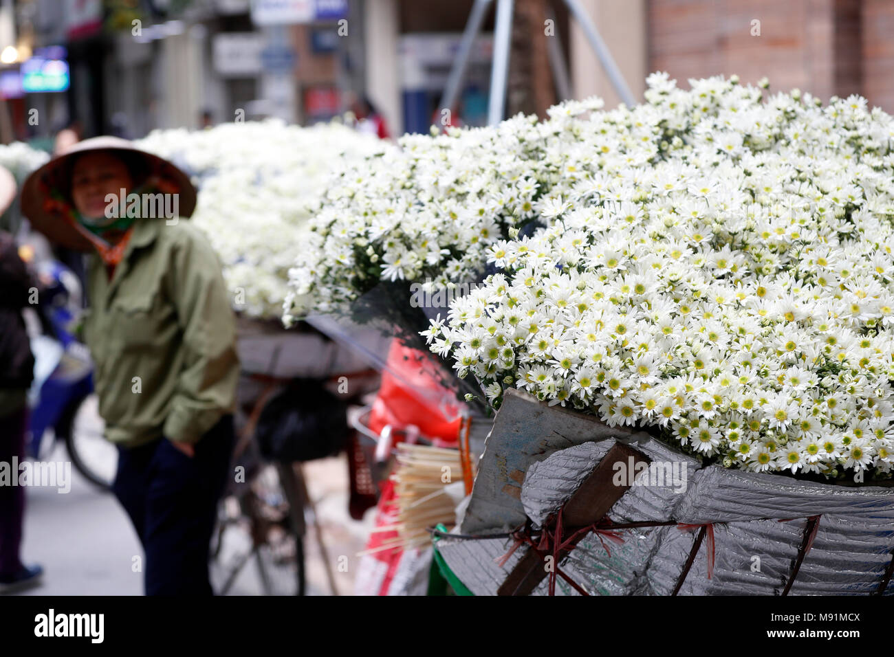 Vendeur vente de fleurs à partir de son mobile magasin de bicyclettes. Hanoi. Le Vietnam. Banque D'Images