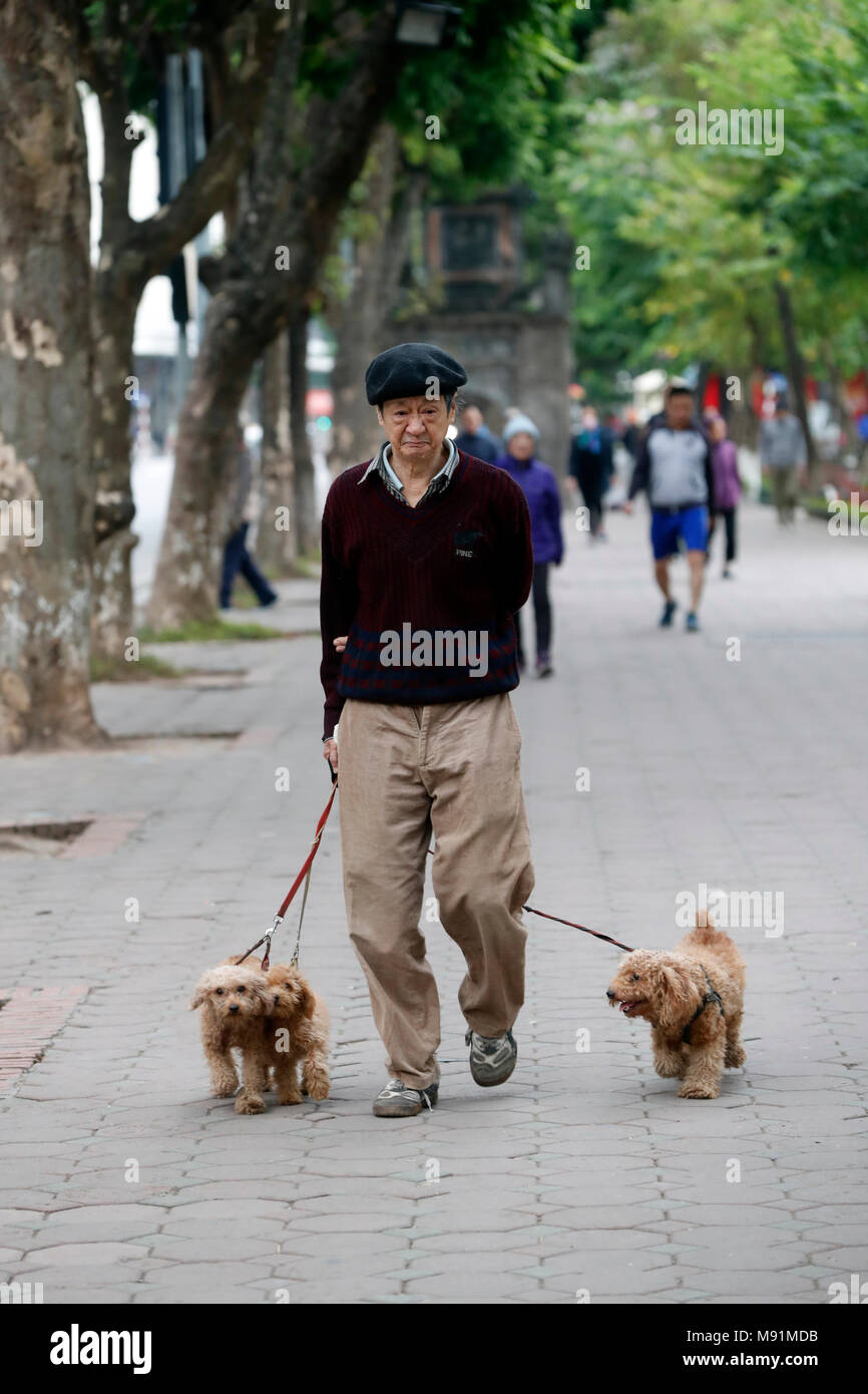 Rue typique du vieux quartier de Hanoi. Vieil homme avec 3 chiens. Hanoi. Le Vietnam. Banque D'Images
