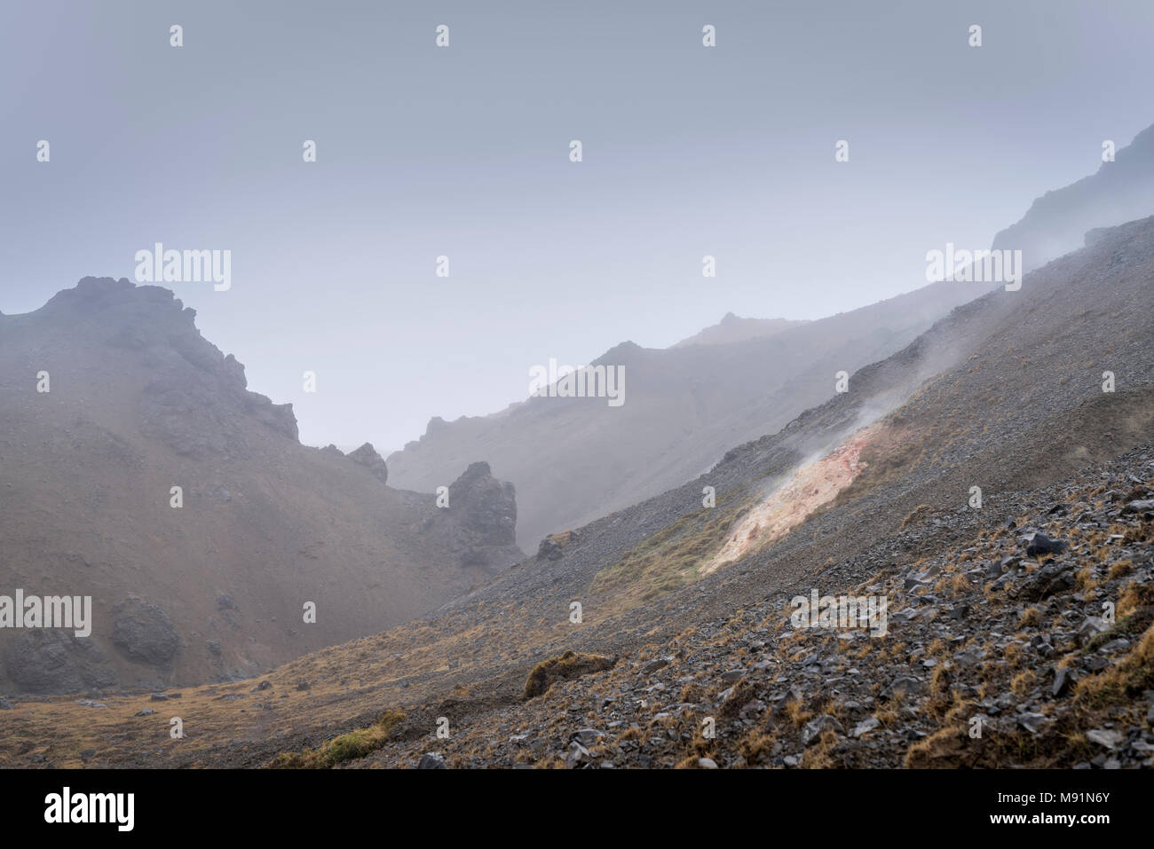 Les dépôts de silice, zone géothermique, Reykjanes Peninsula, Iceland Banque D'Images