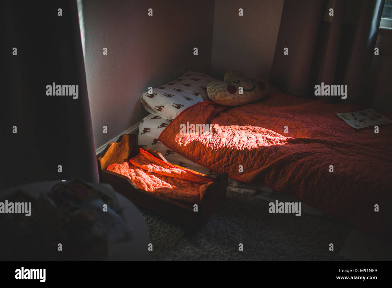 Les filles à la mode dans la salle de soleil patch moderne moody spectaculaire Banque D'Images