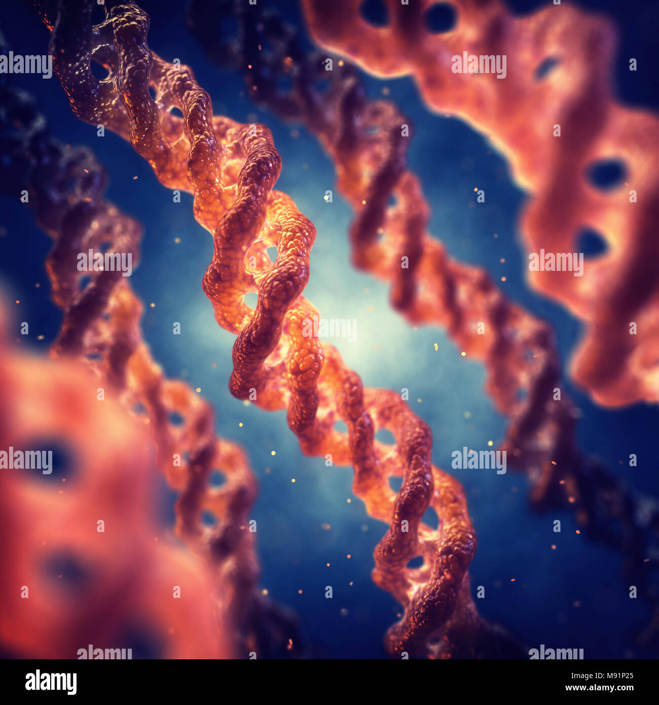 Collagen protein structure Banque de photographies et d’images à haute