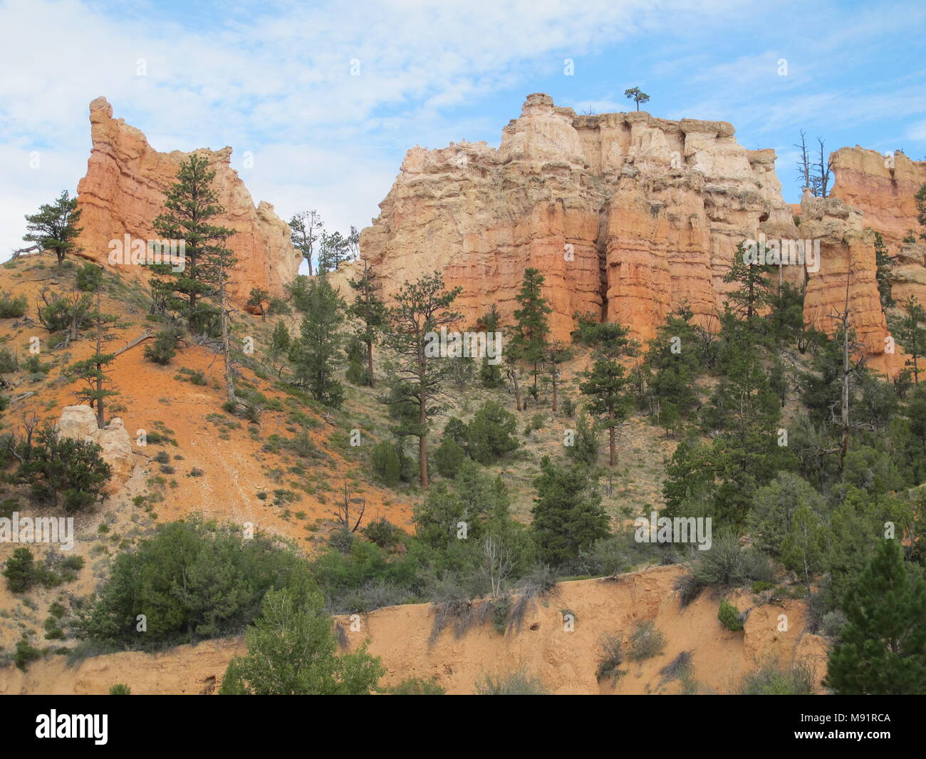 Red Canyon à Dixie National Forest (Scenic Byway 12, Utah, USA) Banque D'Images