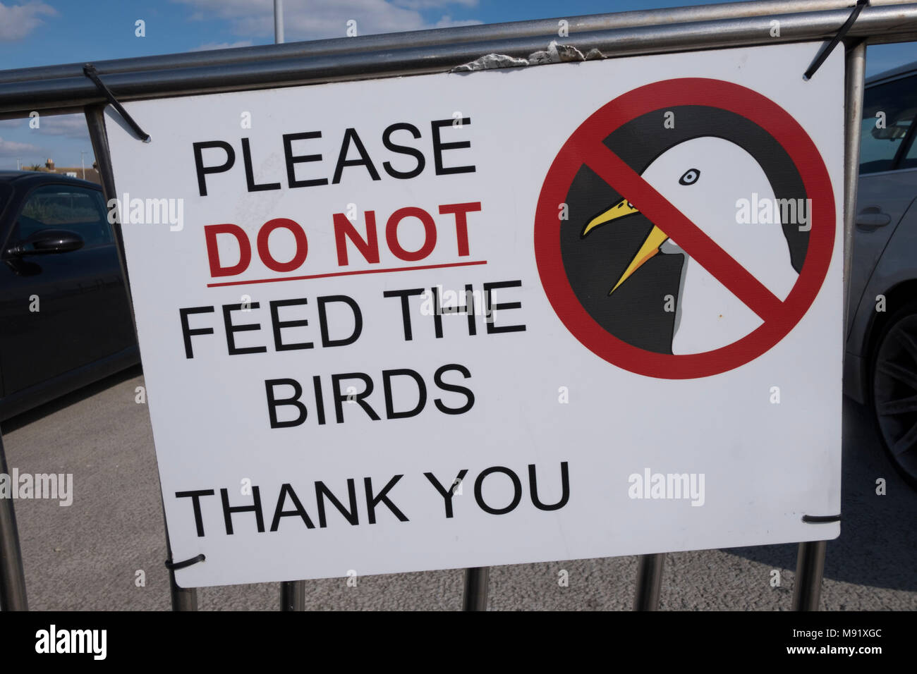 Ne pas nourrir les mouettes ne pas nourrir les oiseaux signe sur Poole Quay Dorset UK Banque D'Images