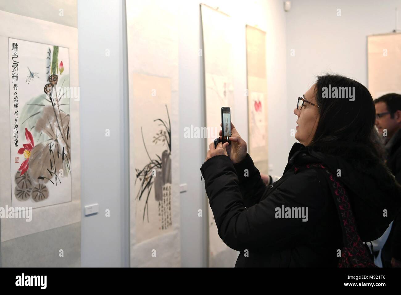 Malaga, Espagne. Mar 20, 2018. Un visiteur prend photo de l'œuvre de l'artiste chinois Qi Baishi lors d'une exposition à Málaga, Espagne, le 20 mars 2018. Credit : Guo Qiuda/Xinhua/Alamy Live News Banque D'Images