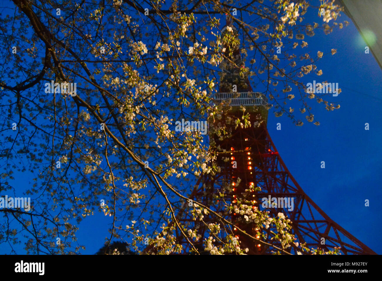 Tokyo, Tokyo, la Chine. Mar 22, 2018. Tokyo, Japon 22 Mars 2018 : Tokyo Tower est une tour d'observation et de communication dans le Shiba-koen district de Minato, Tokyo, Japon. À 332,9 mètres (1 092 ft), c'est la deuxième plus haute structure au Japon. La structure est un réseau d'inspiration Tour Eiffel tower qui est peint en blanc et orange international pour se conformer aux règlements sur la sécurité aérienne. Construit en 1958, la tour, principales sources de revenu sont le tourisme et la location de l'antenne. Crédit : SIPA Asie/ZUMA/Alamy Fil Live News Banque D'Images