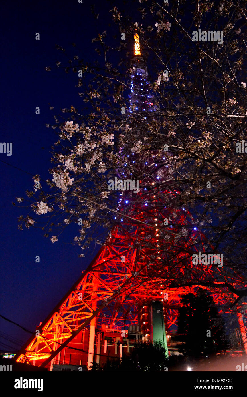Tokyo, Tokyo, la Chine. Mar 22, 2018. Tokyo, Japon 22 Mars 2018 : Tokyo Tower est une tour d'observation et de communication dans le Shiba-koen district de Minato, Tokyo, Japon. À 332,9 mètres (1 092 ft), c'est la deuxième plus haute structure au Japon. La structure est un réseau d'inspiration Tour Eiffel tower qui est peint en blanc et orange international pour se conformer aux règlements sur la sécurité aérienne. Construit en 1958, la tour, principales sources de revenu sont le tourisme et la location de l'antenne. Crédit : SIPA Asie/ZUMA/Alamy Fil Live News Banque D'Images