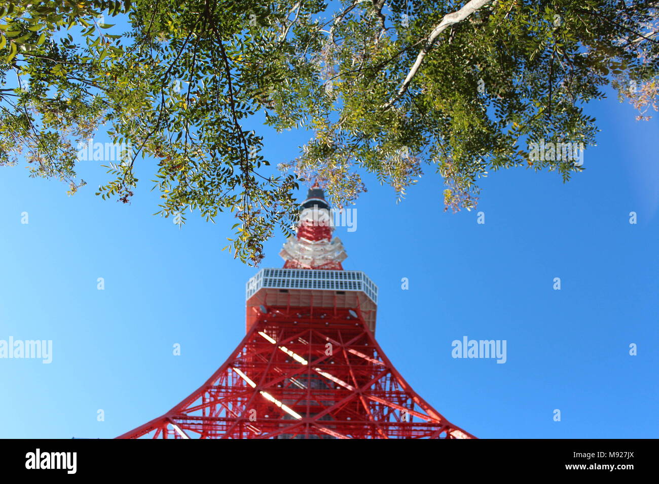 Tokyo, Tokyo, la Chine. Mar 22, 2018. Tokyo, Japon 22 Mars 2018 : Tokyo Tower est une tour d'observation et de communication dans le Shiba-koen district de Minato, Tokyo, Japon. À 332,9 mètres (1 092 ft), c'est la deuxième plus haute structure au Japon. La structure est un réseau d'inspiration Tour Eiffel tower qui est peint en blanc et orange international pour se conformer aux règlements sur la sécurité aérienne. Construit en 1958, la tour, principales sources de revenu sont le tourisme et la location de l'antenne. Crédit : SIPA Asie/ZUMA/Alamy Fil Live News Banque D'Images