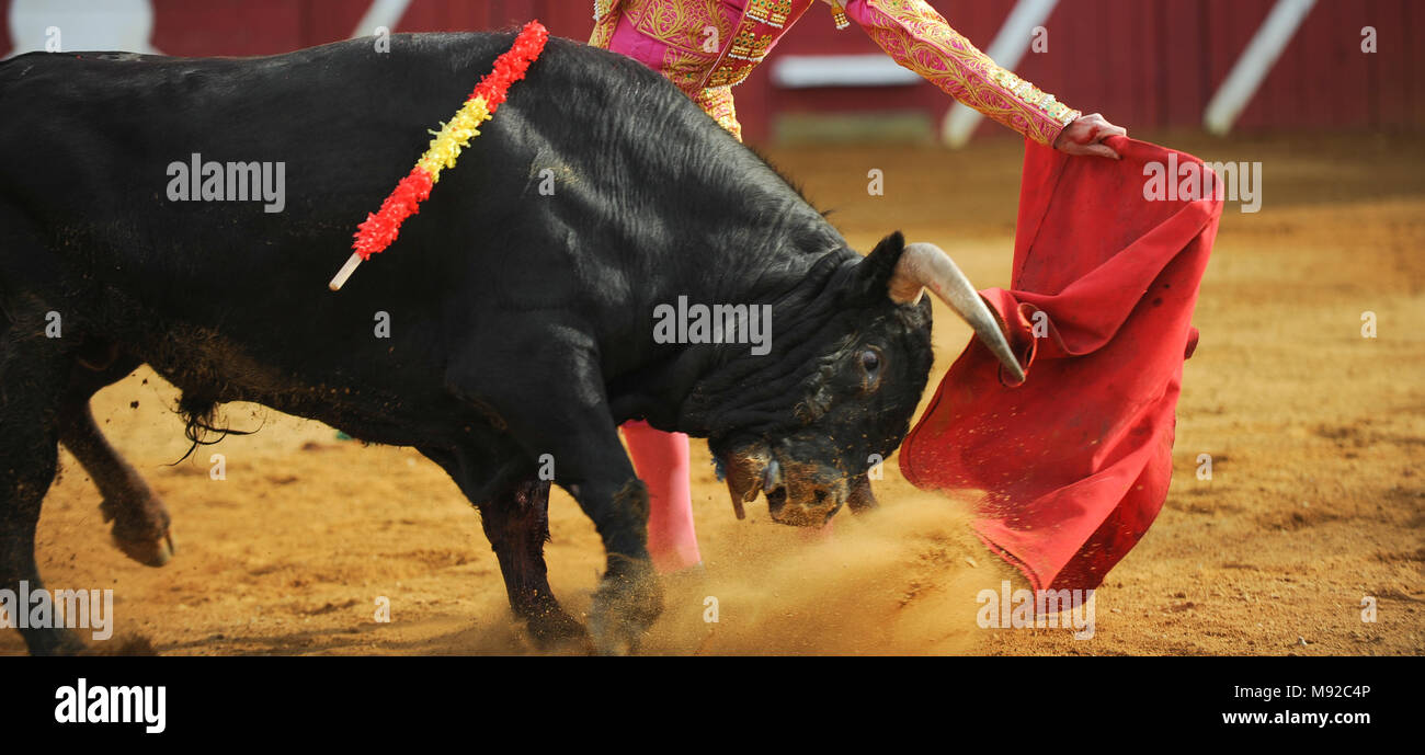 El Toro - Bullfigth corrida Banque D'Images