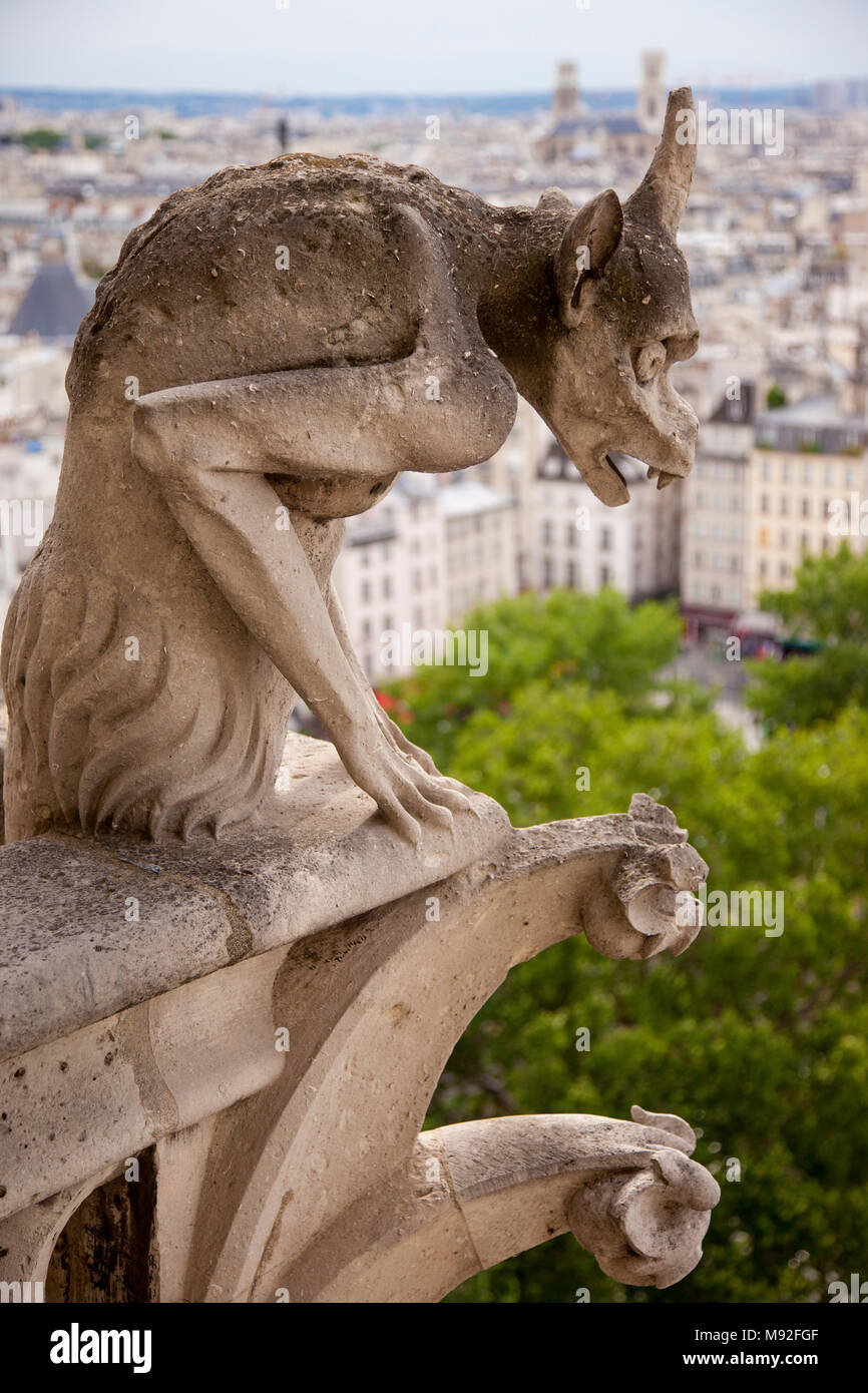 Gargoyle avec vue sur ville de Paris à partir de la Cathédrale Notre Dame, Paris, Ile-de-France, France Banque D'Images