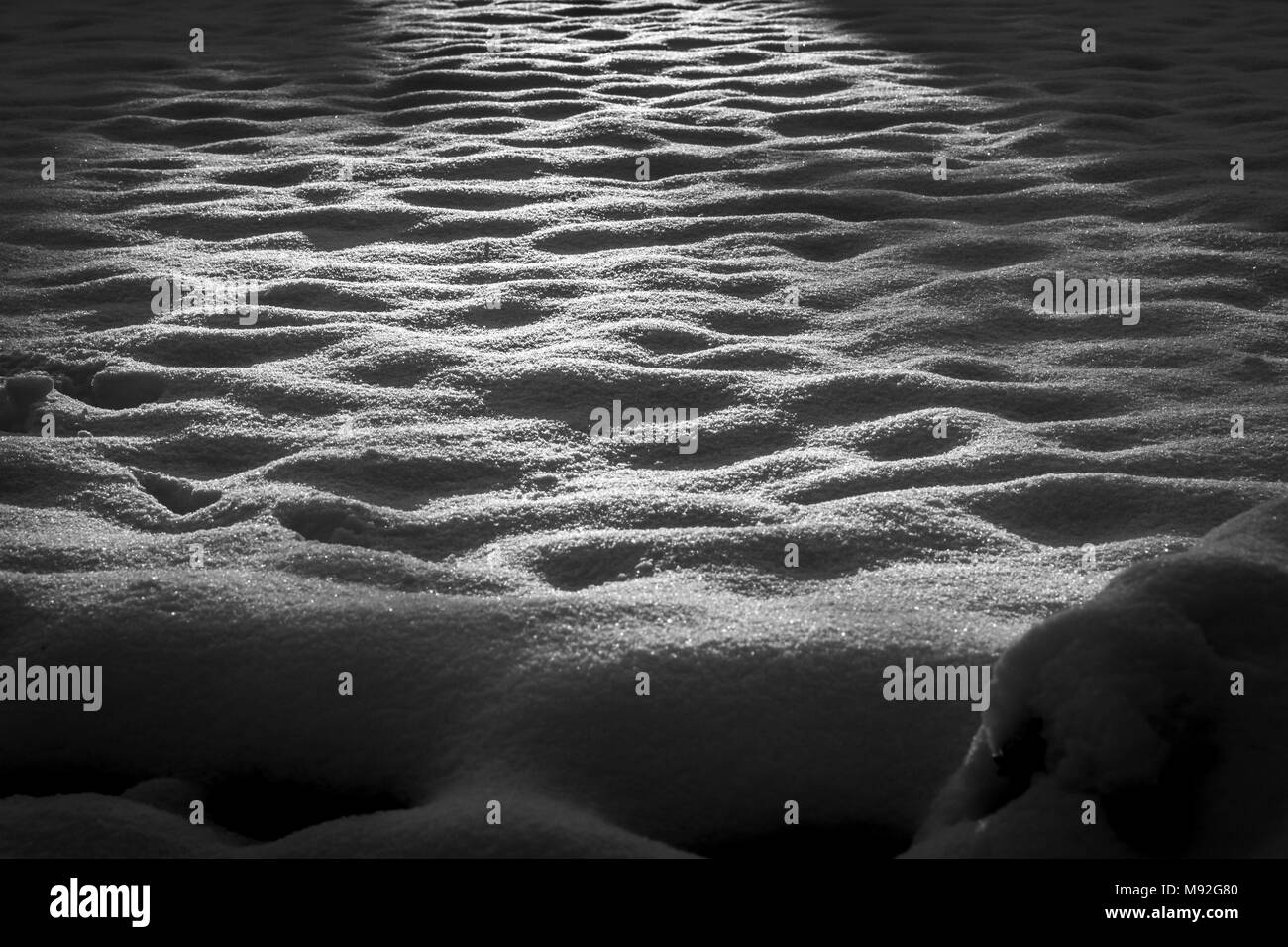 Matin neigeux, l'ombre dans un jardin, noir et blanc. Sunrise réflexions sur le thème de l'hiver, la neige fraîche. Banque D'Images