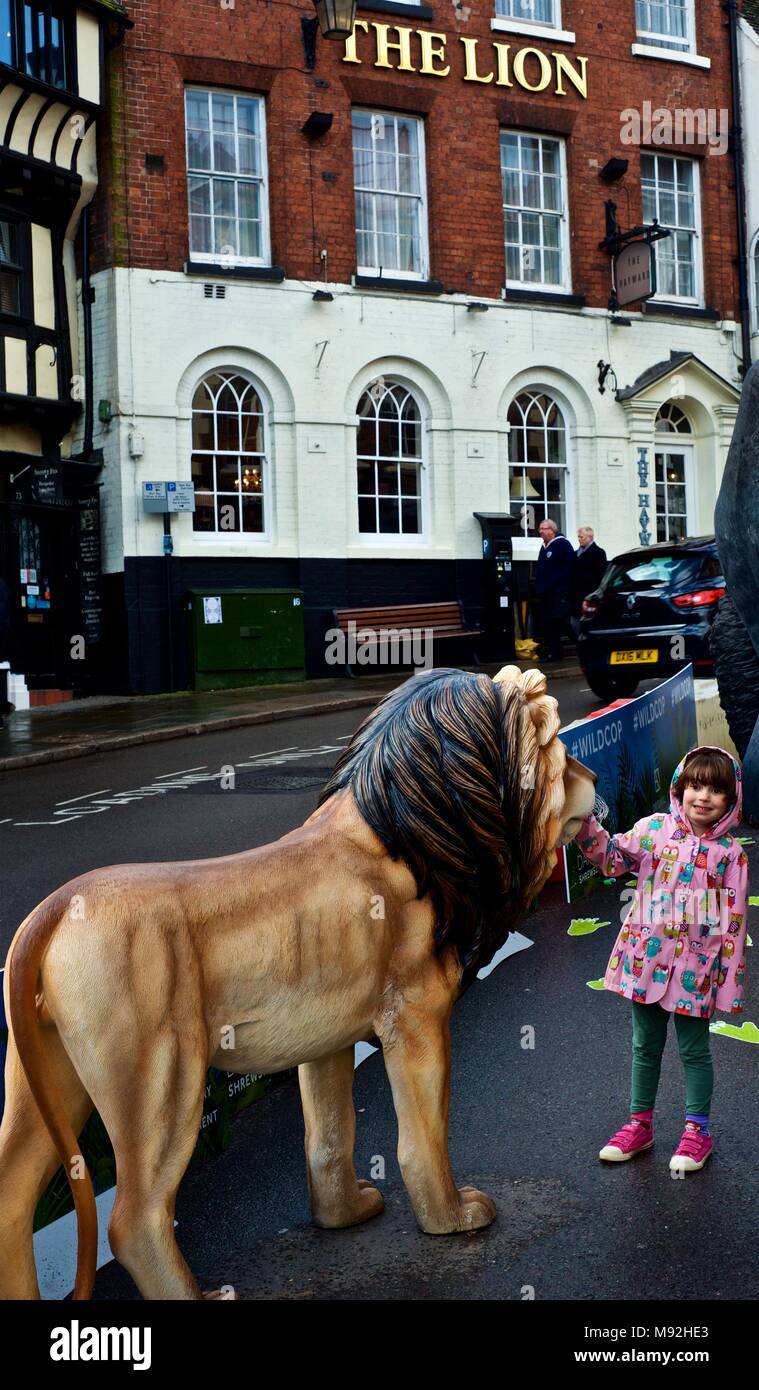 Shrewsbury, Shropshire, Angleterre, WildCop où la vie animale sur la taille des sculptures historique Wyle Cop Banque D'Images