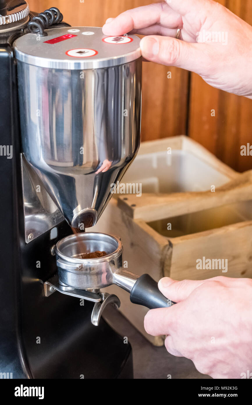 Barista holding portafilter dans la main et le broyage des grains de café avec broyeur pour faire de l'expresso ou cappuccino Banque D'Images