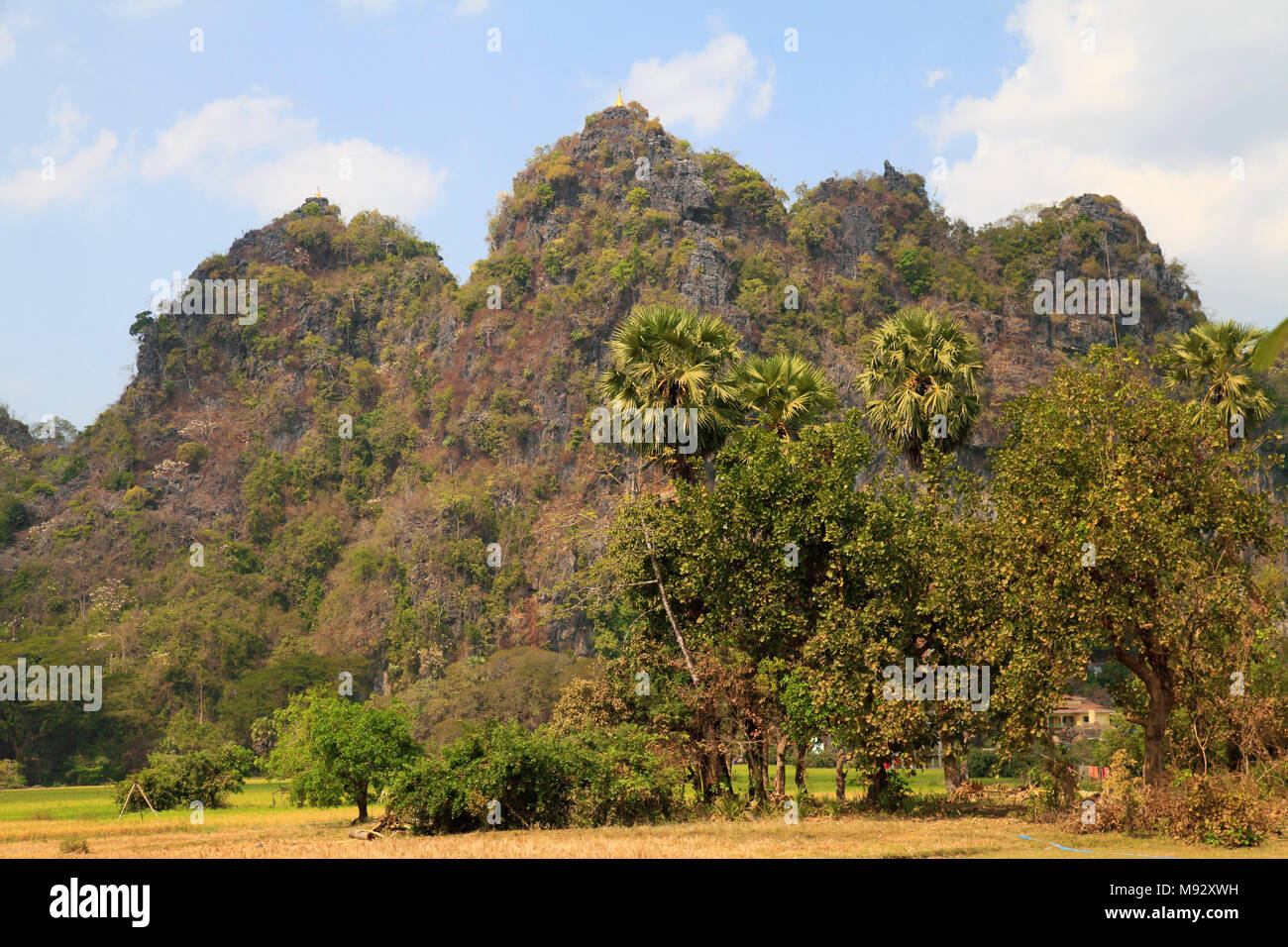 Le Myanmar, l'Etat de Kayin, paysage, collines calcaires, Banque D'Images