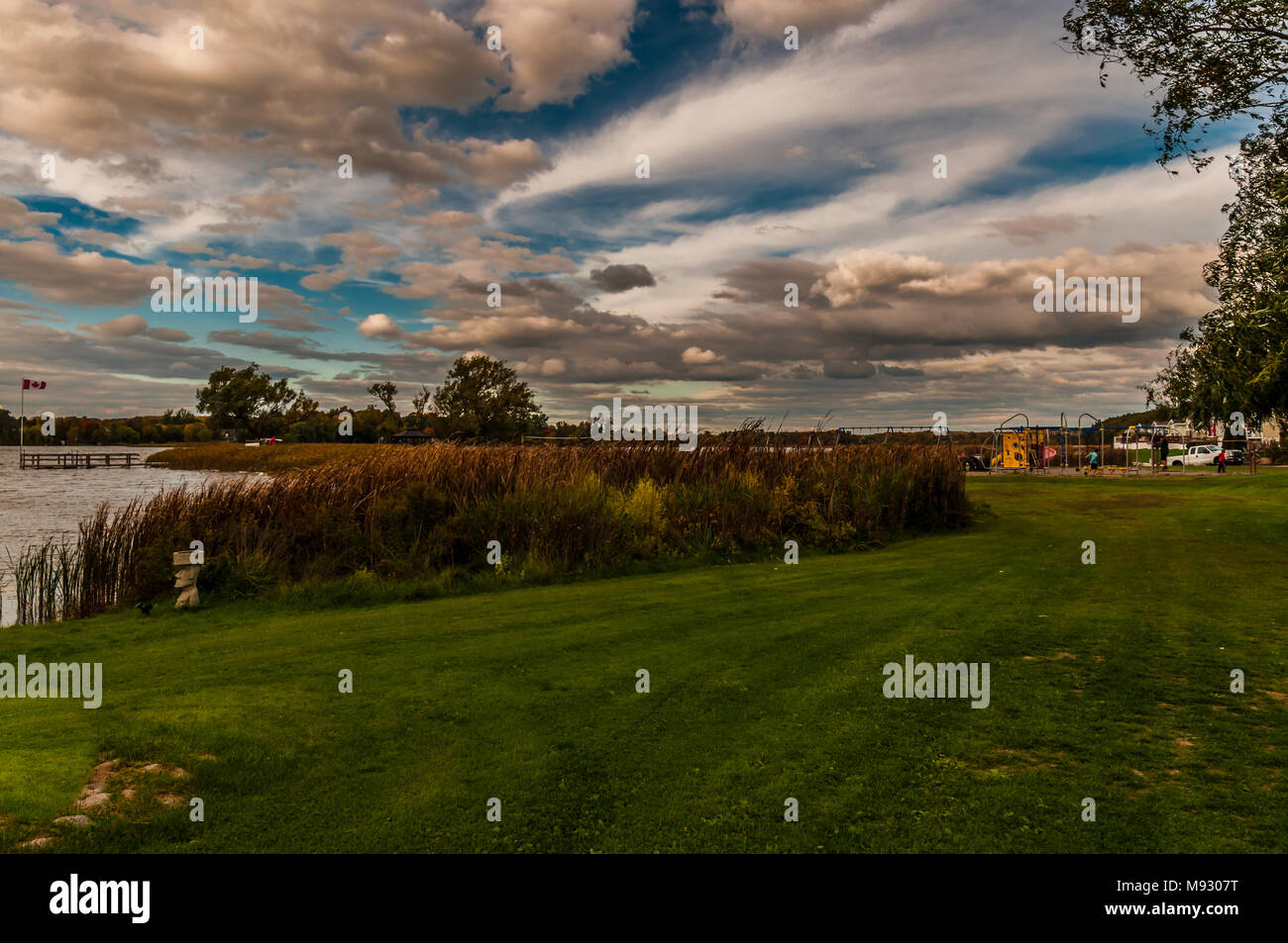 Vue sur le lac dispose d' arbres verts et des plantes du littoral sur une journée ensoleillée avec un contraste élevé sky Banque D'Images