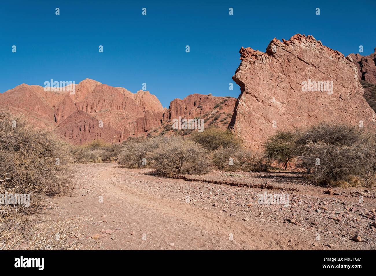 La Puerta del Diablo, red rock formation in dry red canyon Quebrada de Palmira près de Tupiza, Andes Boliviennes- Bolivie, Amérique du Sud Banque D'Images