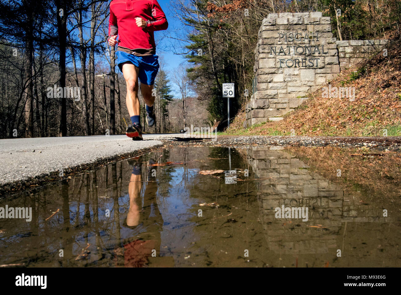 Runner à entrée à Pisgah Forest National - Brevard, North Carolina, États-Unis Banque D'Images