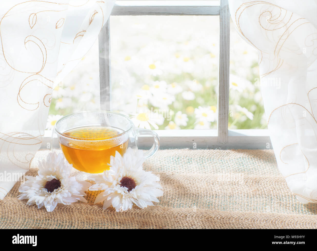 Une tasse de thé sur la fenêtre avec un beau paysage à l'extérieur du pays. Banque D'Images