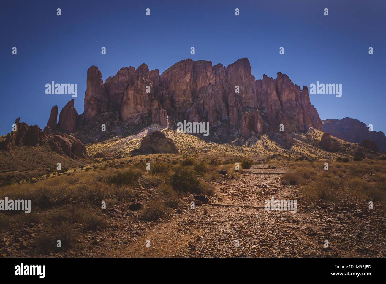 Vue emblématique de la Superstition Mountains et Saguaro cactus dans Lost Dutchman State Park, Arizona du sentier en boucle de trésor Banque D'Images