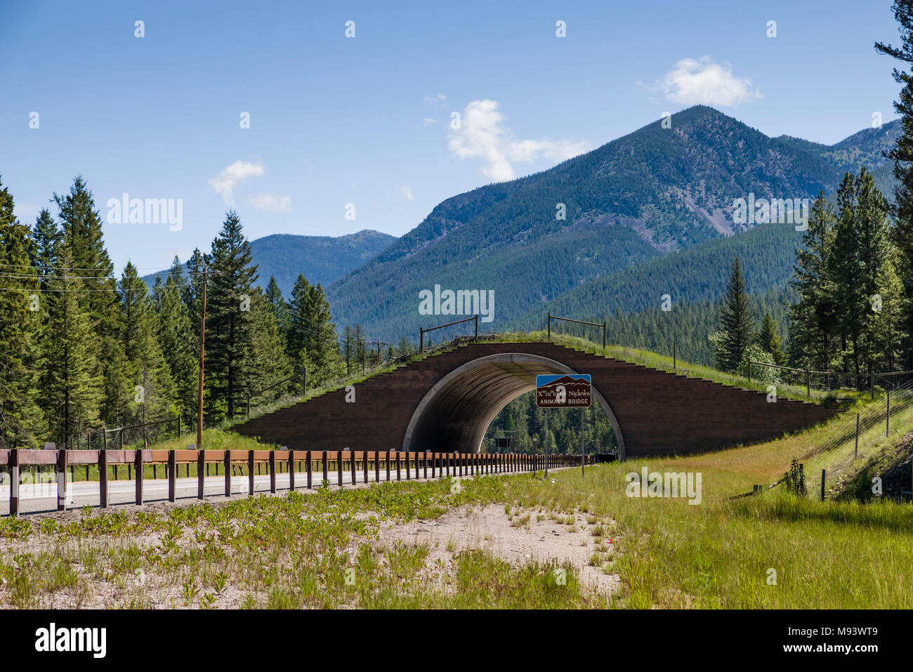 Traversée du Pont de l'animal-nous 93 dans le Montana est conçu pour permettre à la faune pour poursuivre les voies de migration historique. Banque D'Images