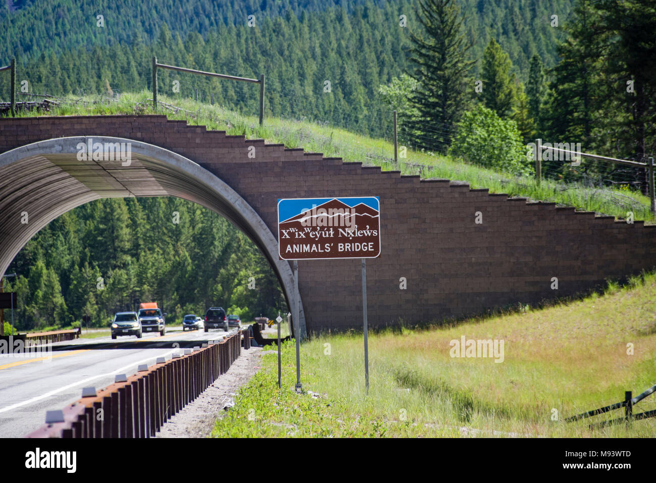 Traversée du Pont de l'animal-nous 93 dans le Montana est conçu pour permettre à la faune pour poursuivre les voies de migration historique. Banque D'Images