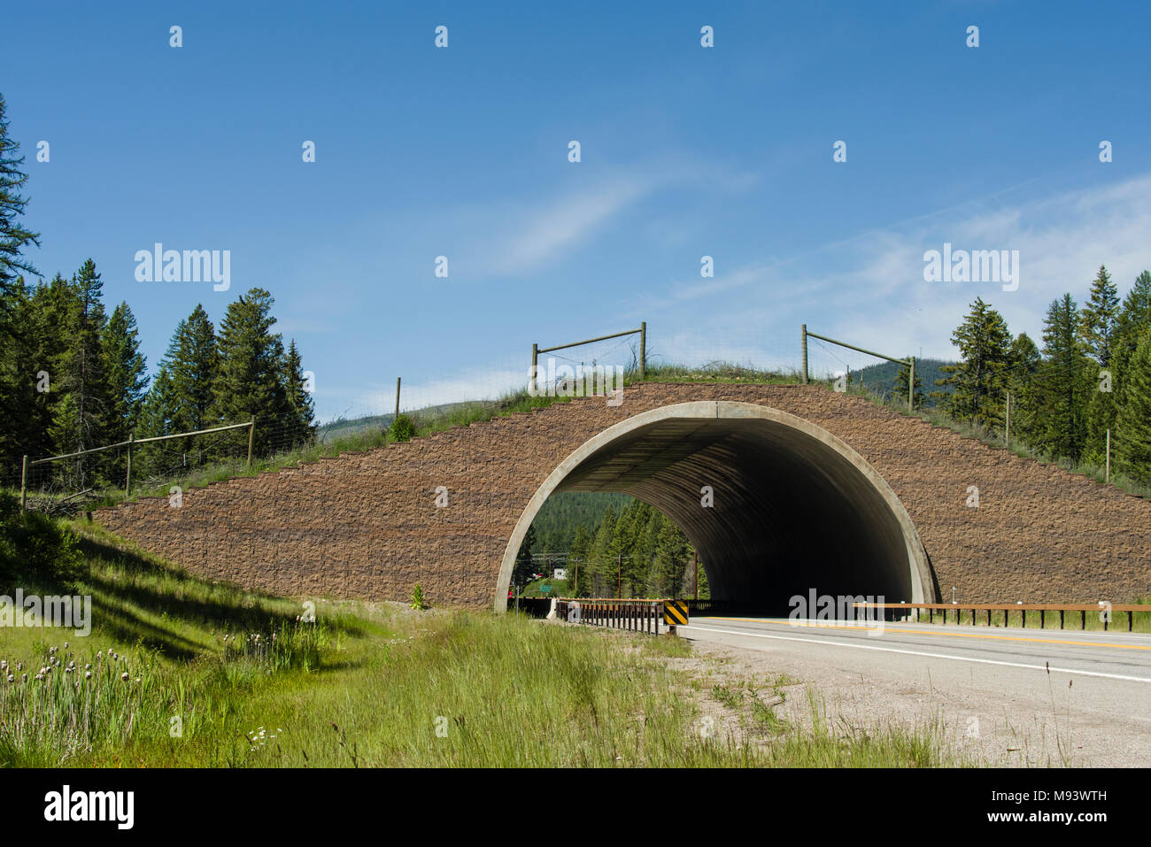 Traversée du Pont de l'animal-nous 93 dans le Montana est conçu pour permettre à la faune pour poursuivre les voies de migration historique. Banque D'Images