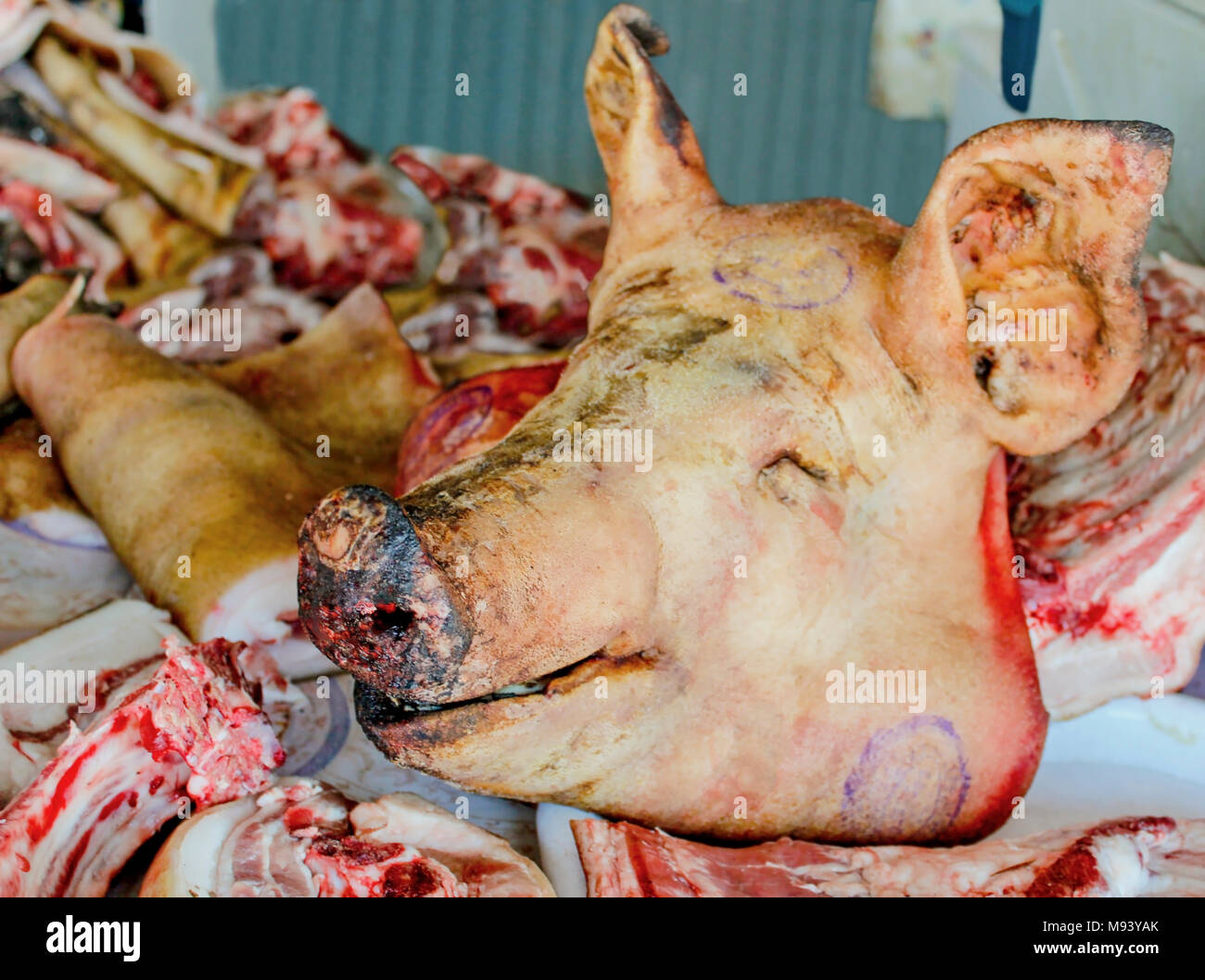 Tête de cochon avec des morceaux de viande hachée sur le comptoir du marché de la viande. Banque D'Images