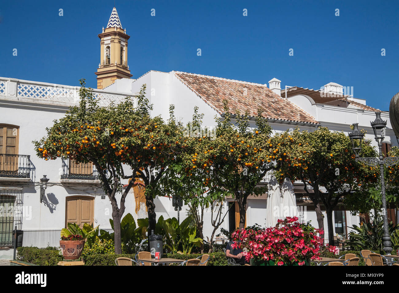 Plaza de los Flores, Marbella, Andalousie, Espagne Banque D'Images