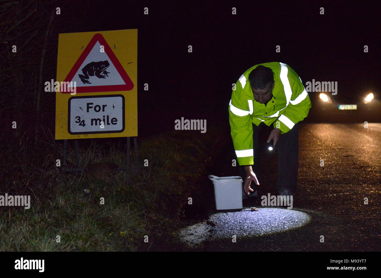 Après une patrouille sur Toad Lane Hampshire. Au début du printemps chaque année, des milliers de Crapauds, grenouilles et tritons migrent de leurs sites d'hibernation à l'élevage Banque D'Images
