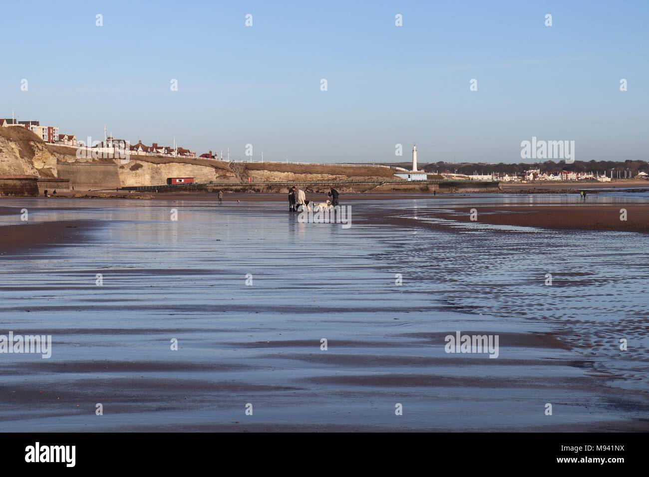 Réflexions et Sky Dog Walkers sur Roker Beach Banque D'Images