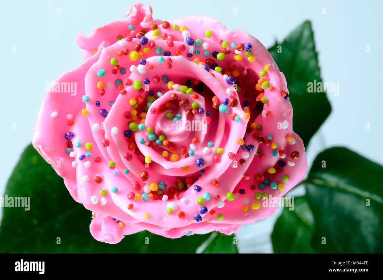 Fleur rose rose bonbon, ou gâteau, avec des vermicelles de couleur comme une pâtisserie, pour le fond Banque D'Images