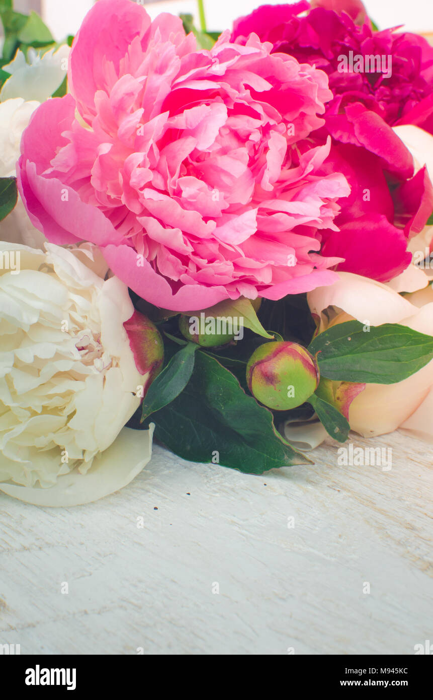 Fuchsia, rose et blanc pivoines sur table en bois avec place pour le texte.  Pivoine fleur de printemps. Heureuse Fête des Mères. Carte de voeux de la  Saint-Valentin. Copier l'espace Photo Stock -