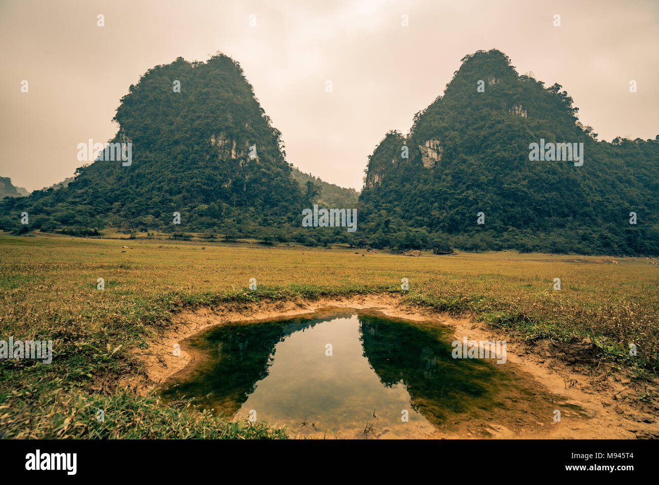 Une flaque d'eau dans un champ au Vietnam Banque D'Images