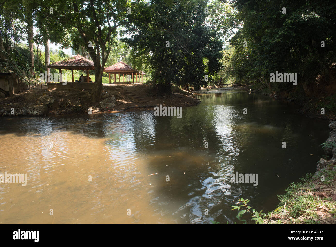 Flux rivière propre dans une jungle situé à Sungai yu, Pahang, Malaisie Banque D'Images